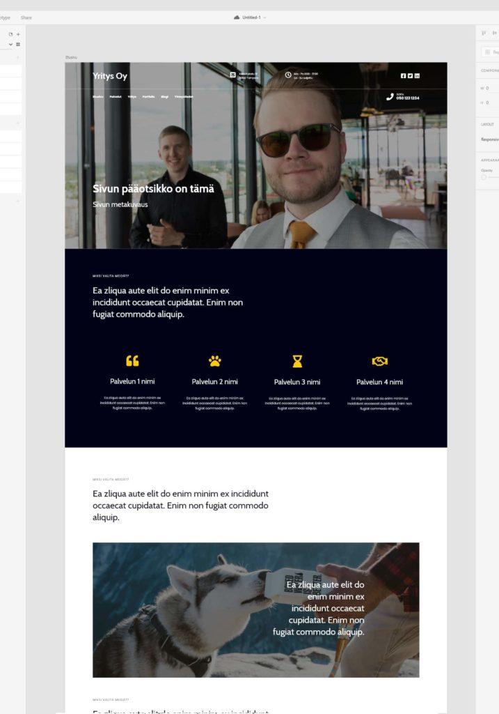 WordPress kotisivut design